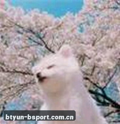 吴婷